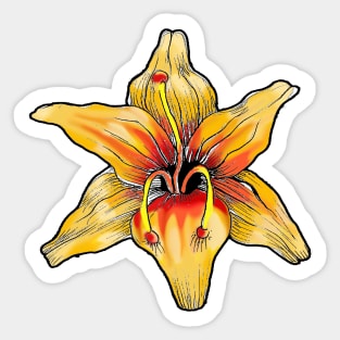 Daylily Sticker